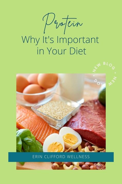 Why Protein is Important in Your Diet Foods Rich In Protein, Why Protein, Shakes Protein, Rich Recipes, Sources Of Protein, Recipes Protein, Protein Rich Foods, Protein Diets, Protein Supplements