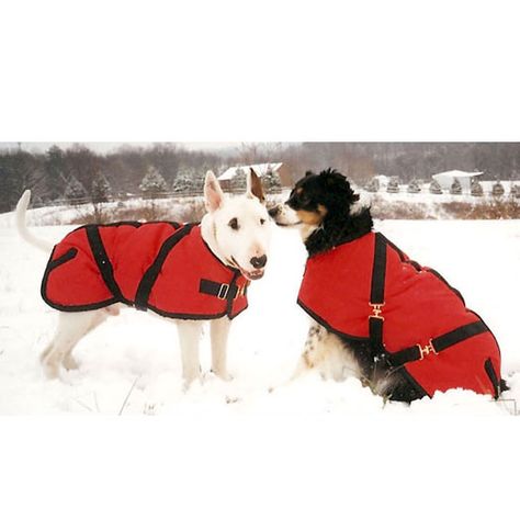 Warn and cozy in their dog coats! http://www.tackroominc.com/foggy-mountain-nylon-turnout-dog-coat-p-13251.html Foggy Mountains, Dog Coat, Dog Coats, Dogs, Animals, Clothes