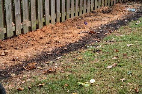 Lawn Roller, Landscaping A Slope, Drainage Ditch, Yard Drainage, Trench Drain, Pathway Landscaping, French Drain, Invasive Plants, Landscape Fabric