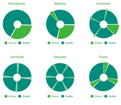 Polyphasic sleep modes Polyphasic Sleep Schedule, Polyphasic Sleep, Sleep Schedule, Sleep Mask, First World, Personal Development, Pie Chart, The Day, Spa