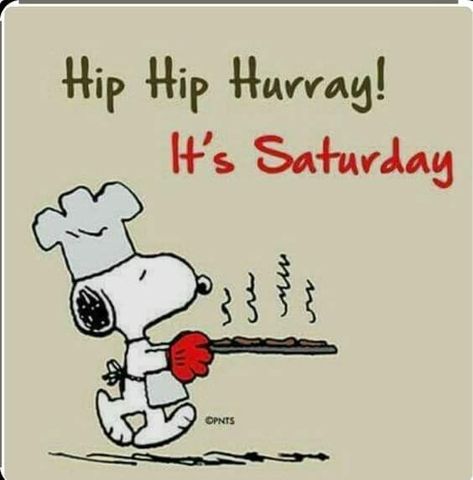 Snoopy Happy Saturday, Saturday Snoopy, Snoopy Song, Charlie Brown Quotes, Weekend Greetings, Good Morning Snoopy, Woodstock Peanuts, Dog Comics, Good Morning Saturday