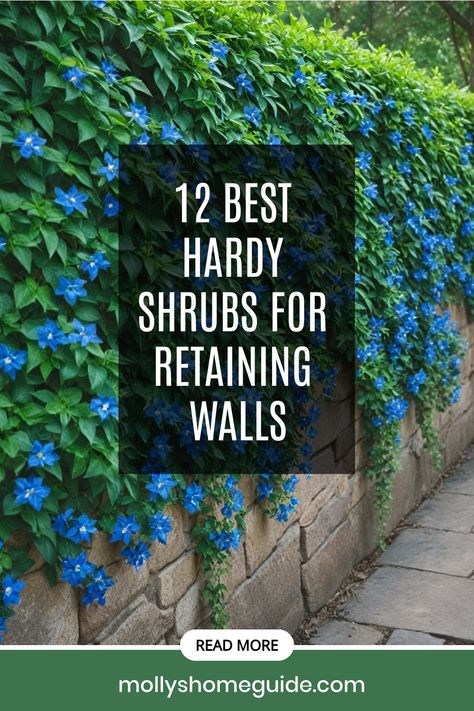 Discover the top shrubs ideal for retaining walls, offering beauty and functionality to your landscape. From cascading plants perfect for erosion control to flowering hedges creating privacy, explore a range of options including foundation shrubs and plants suitable for slopes. Find the best shrubs that not only enhance the aesthetic appeal but also serve as effective solutions for erosion control. Upgrade your outdoor space with these stunning choices! Planted Retaining Wall, Retaining Wall With Plants, Cascading Plants Outdoor, Retaining Wall Plants, Erosion Control Landscaping, Retaining Wall Landscape, Foundation Shrubs, Retaining Wall Garden, Flowering Hedges