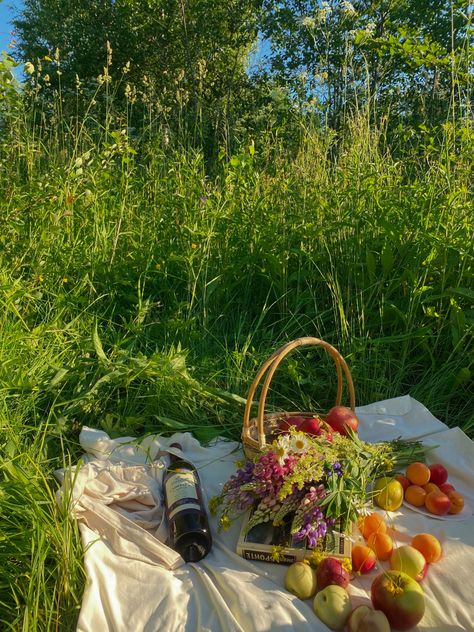 Aesthetic picnic with bouquet of wild flowers, fruits and wine Picnic In Flower Field, Wild Flower Picking, Picnic Aesthetic Flowers, Cottage Picnic Aesthetic, Picnic Flowers Aesthetic, Flower Picnic Aesthetic, Summer Aesthetic Picnic, Fae Picnic, Fairy Picnic Aesthetic