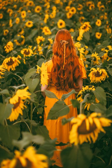 Field Pictures, A Clothes Horse, Fish Vase, Fotografi Vintage, Fairytale Photography, Sunflower Field, Ginger Girls, Dress Cottagecore, Van Gogh Paintings