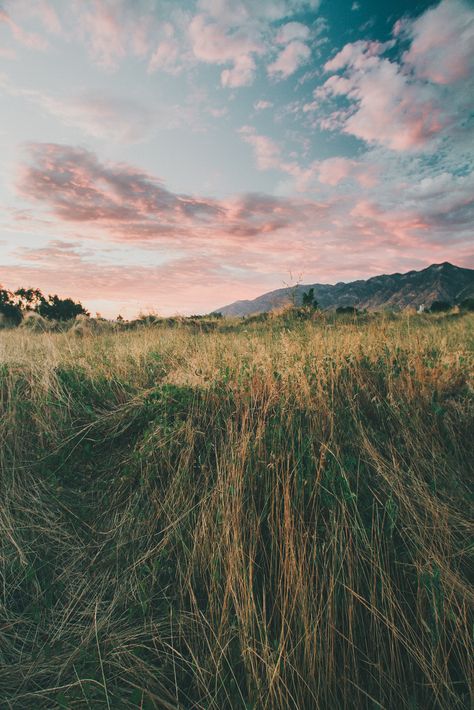 Piggy back rides on your back. U flipping me over on the grass, whispering in my ear. Us laughing. Admiring Gods creation together. Is the man I want Jaime Lannister, Foto Tips, Arya Stark, Pretty Places, Leeds, Pretty Pictures, Beautiful World, Beautiful Landscapes, Kerala