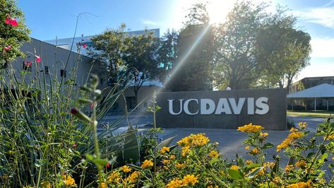 Uc Davis Campus Aesthetic, Uc Davis Campus, Ucdavis Aesthetic, Uc Davis Vet School, Uc Davis Aesthetic, Davis Aesthetic, Katie Core, 2024 Mindset, Creative Writing Major