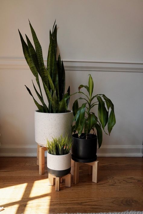 Modern Interior Design With Plants, Home Plants Indoor, Bathroom Plants No Sunlight, Plant Placement, Scandi Minimalist, Best Bathroom Plants, Plant Stand Table, Corner Plant, Minimal Plant