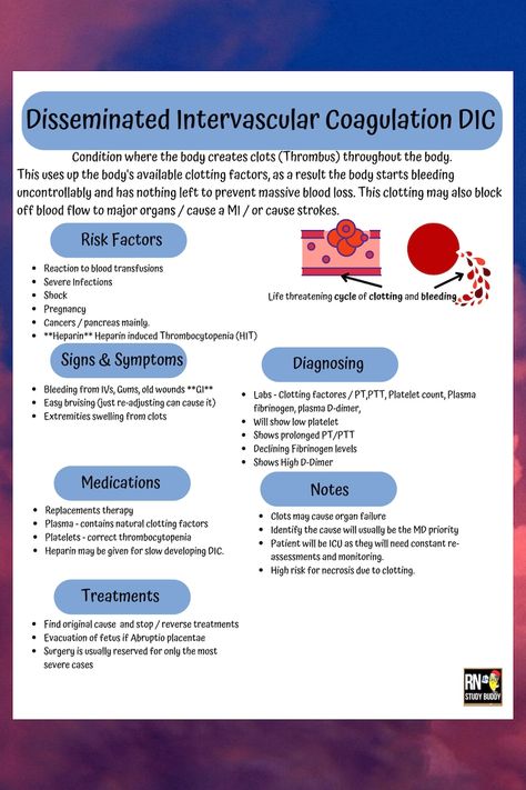 Cardiac Medsurg Bundle. 18 Pages Easy Cardiac Medsurg Nursing Notes and Cheat Sheets. Master the Basics of Common Cardiac Conditions. - Etsy Medsurg Nursing, What Is Intelligence, Nursing School Studying Cheat Sheets, Nursing Cheat Sheet, Nursing Cheat, Med Surg Nursing, Nursing School Essential, Nurse Study Notes, Med School Motivation