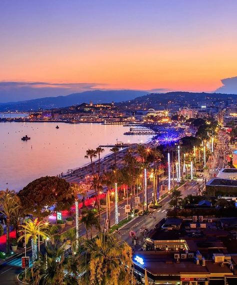 Cannes, France 🇫🇷 on Instagram: “27 000 ❤️ #cannes” France Aesthetic, Jamais Vu, Luxury Villa Rentals, Cannes France, Destination Voyage, Cote D’azur, Villa Rental, Real Estate Services, Disneyland Paris