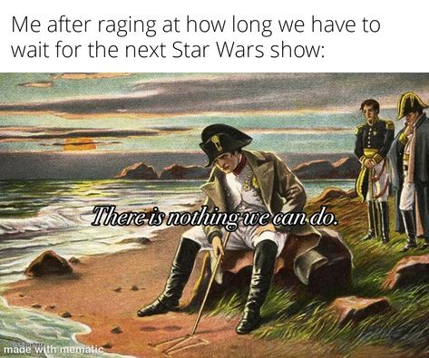 Do Gif, Star Wars Meme, Han And Leia, Napoleon Dynamite, Dark Memes, Boyfriend Memes, Napoleonic Wars, Star Wars Humor, Star Wars Memes