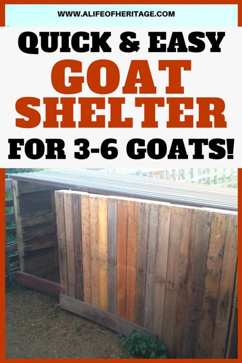 Your goats need shelter to keep them warm and dry during rainy and snowy days! And this shelter is inexpensive and easy to make! Diy Goat Shelter, Farm Facts, Keeping Goats, Goat Health, Goat Shed, Livestock Shelter, Goat Shelter, Goat Pen, Goat Milking