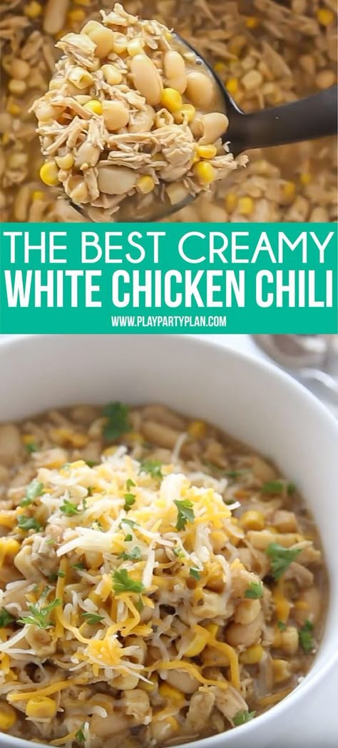 Chili Recipe Chicken, Northern Bean Recipes, Creamy White Bean Chicken Chili, Best White Chicken Chili Recipe, Best White Chicken Chili, White Chili Chicken, Cannellini Beans Recipes, Chili Slow Cooker, White Chicken Chili Slow Cooker