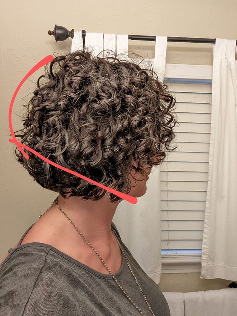 Time for a Haircut | a.steed's.life Curly Hair Bobs Naturally, 2024 Short Curly Hair Cuts, Short Haircuts For Naturally Curly Hair, Short Fine Curly Hair, Stacked Curly Bob, Stacked Curly Bob Haircut, Cool Curly Haircuts, Haircuts Thick Curly Hair, Short Permed Hair Before And After