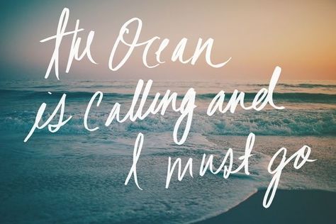 the ocean is calling... Beach Sayings, The Ocean Is Calling, Ocean Quotes, Fort Myers Beach, I Love The Beach, Beach Quotes, Boracay, Beach Signs, Salt Life