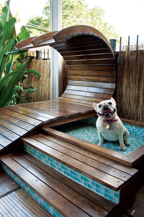 Beautiful puppy wading pool!  I so have to do this in our home in costa rica.  how much could this possibly cost?  can't be too much! Dog Pool Ideas, Diy Dog Pool, Fancy Dog Houses, Dog Backyard, Dog Swimming Pools, Wading Pool, Positive Dog Training, Dog Yard, Dog Playground