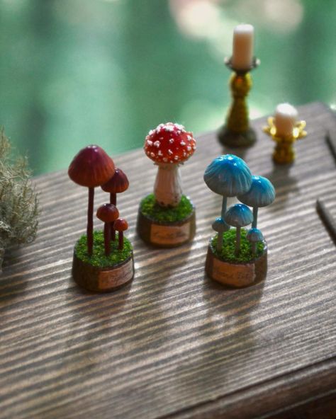 𝐅𝐚𝐢𝐫𝐲 𝐌𝐲𝐜𝐨𝐥𝐨𝐠𝐲 𝐃𝐢𝐬𝐩𝐥𝐚𝐲𝐬 🧚🏻‍♂️🍄 These teeny tiny mushroom sculptures were carefully handmade from polymer clay, colored with chalk pastel pigments and mounted on stained wood plugs! I made some watercolor-aged paper labels for the bases as well. I had to use my magnifying lamp and the smallest pencil I could find to write the species names on them! From left to right, the mushies are Mycena toyerlaricola, Amanita muscaria, and Mycena interrupta! FRIDAY MAY 24 at 6 pm EST // I will have a n... Mushroom Miniature, Wood Mushrooms, Fairy Miniatures, Faerie Core, Mushroom Core, Fungi Art, Clay Mushroom, Tiny Mushroom, Aged Paper