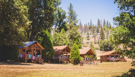 Summer Camp Cabin Exterior, Camp Cabin Ideas, Summer Camp Aesthetic Cabin, Summer Camp Cabins, Summer Camp Cabin, Camp Nostalgia, Summer Slasher, Camp Cabins, Slasher Summer