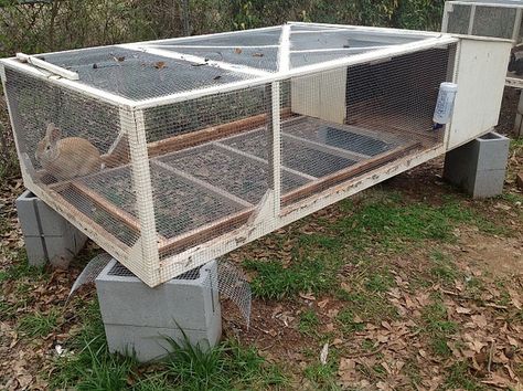 Why We Don't Pasture Our Rabbits ~ The Adventure Bite Rabbit Tractor, Rabbits For Meat, Rabbit Cages Outdoor, Rabbit Houses, Diy Rabbit Cage, Raising Rabbits For Meat, Diy Rabbit Hutch, Rabbit Enclosure, Homesteading Animals