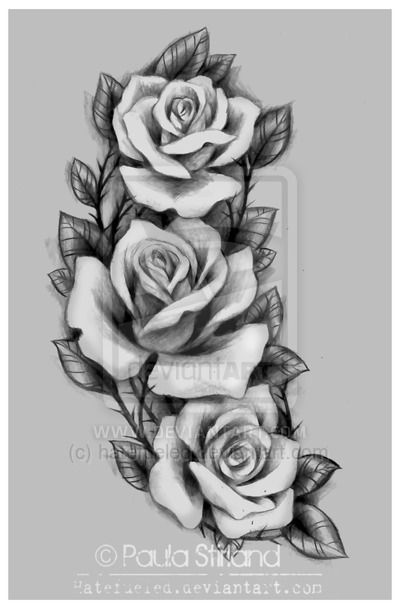 Roses for Amber by hatefueled.deviantart.com on @DeviantArt Black And Grey Rose, Rose Drawing Tattoo, Roses Tattoo, Seni Dan Kraf, Rose Tattoo Design, Rose Drawing, Roses Drawing, Hip Tattoo, Rose Tattoos