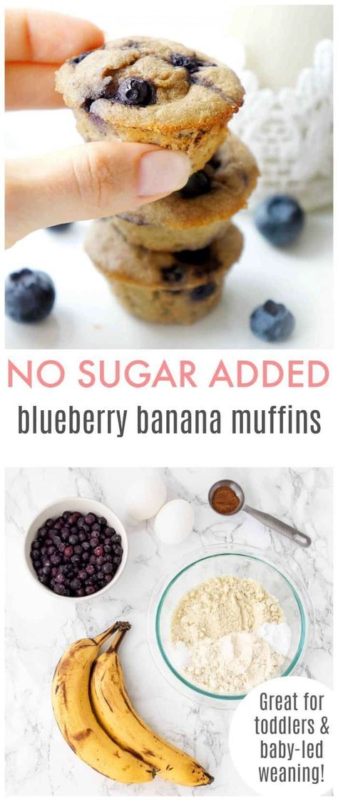 This recipe for Blueberry Banana Muffins is great for toddlers and baby-led weaning, plus these treats are packed full of healthy fats and fibre and are sweetened naturally so they contain no added sugar. Entirely gluten-free and vegetarian as well. Click to learn the recipe! Blueberry Banana Muffins, Mini Blueberry Muffins, Weaning Foods, Banana Blueberry Muffins, Easy Baby Food Recipes, Baby Led Weaning Recipes, Healthy Baby Food, Weaning Recipes, Healthy Toddler Meals