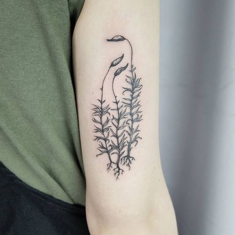 Moss Tattoo, Scientific Tattoo, Tattoos Fine Line, Portland Tattoo, Army Tattoos, Stick N Poke Tattoo, Botanical Tattoo, Poke Tattoo, Art Tattoos