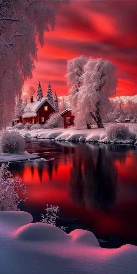 Winter Gifs, River Village, Winter Christmas Scenes, Trees Beautiful, Willow Trees, Beautiful Winter Scenes, Beautiful Scenery Photography, Dream Images, Merry Christmas Pictures