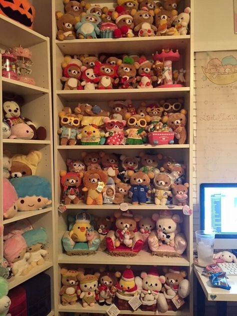 Amigurumi Display, Collection Display Room, Rilakkuma Room, Plush Shelf, Toy Collection Room, Plushie Collection, Rilakkuma Plush, Display Room, Collection Room