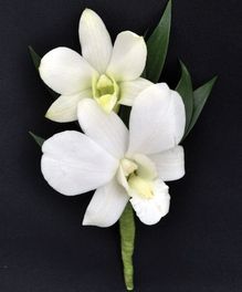 Dendrobium White Orchid #curransflowers #wearableflowers #boutonnieres White Dendrobium Orchids, Orchid Boutonniere, Orchid Corsages, Dendrobium Orchid, Orchid Varieties, White Boutonniere, Orchid Bouquet, Corsage And Boutonniere, Dendrobium Orchids