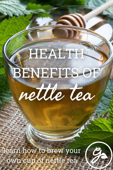 Stinging nettle tea is rich in vitamins, minerals, and antioxidants. Get the Know How on nettle tea benefits and how to make nettle tea. Nettle Root Benefits, Nettles Benefits, Nettle Tea Benefits Women, Benefits Of Nettle, Nettle Leaf Tea Benefits, Nettle Tea, How To Make Nettle Tea, Stinging Nettle Benefits, Stinging Nettle Tea Benefits