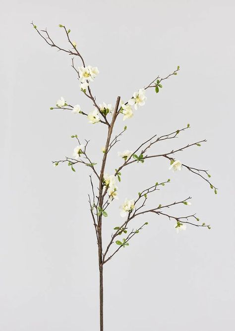 Tall, elegant cream artificial quince blossom flower branches are the key to styling vases for elevated home decorating and high-end interior design. Buy boutique faux florals for the best value now at Afloral.com. Quince Blossom, Den Remodel, Flower Branches, Dry Branch, Floral Styling, Terracotta Floor, Blossom Branch, Handle Vase, Herb Pots