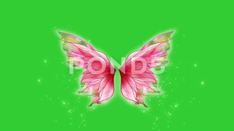 Colorful Fairy Wings Green Screen Pack With Fairydust Wings Green Screen, Butterfly Green Screen, Emoji Video, Chroma Screen, Vidéo Aesthetic, Best Green Screen, Colorful Fairy, Angel Wings Illustration, 2d Character Animation