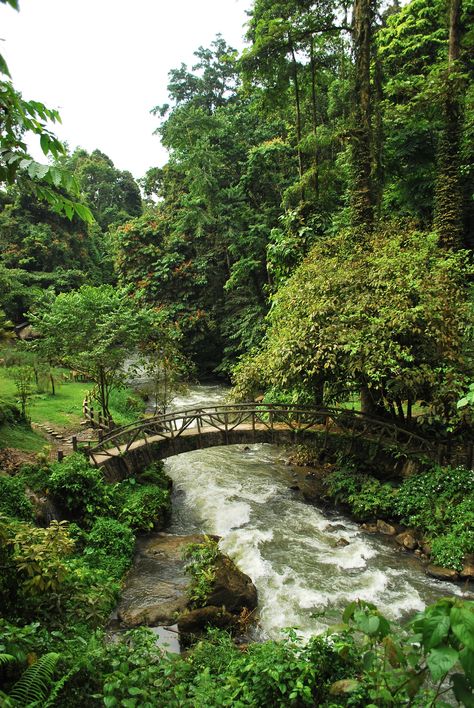 Lake Sebu, Seven Falls, Autumn Lake, Philippines Travel, Cebu, Nature Aesthetic, Natural Wonders, The Queen, Philippines