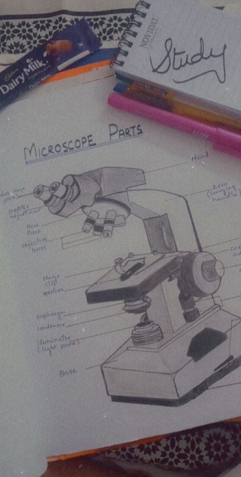 #microbiology 
#microscope
#diagram
#BTS 
#purple Bio Diagrams Aesthetic, Microscope Drawing Easy, Microscope Drawing With Label, Medtech Notes, Microscope Diagram, Microscope Drawing, Microscope Art, Diagram Drawing, Microscope Pictures