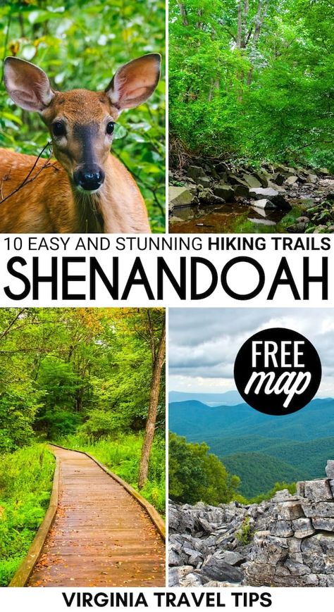 Manifesting Travel, Maryland Vacation, Shenandoah Virginia, North Caroline, Beginner Hiker, Teardrop Camping, Beginner Hiking, National Park Map, Virginia Vacation