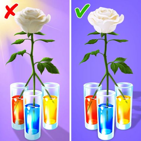 How to Make Rainbow Roses / 5-Minute Crafts Rose Step By Step, Colored Roses, How To Make Rose, Rose Crafts, Blue Food Coloring, Diy Rainbow, Bottle Cap Crafts, Rose Stem, Rainbow Roses