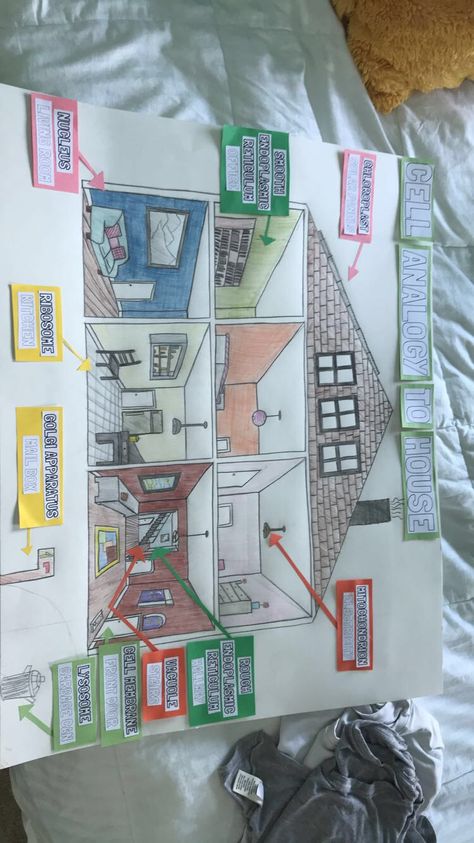 Cell Analogy Project to Home A Cell Is Like A Project, Cell Organelles Project Models, Organelle Project Ideas, Cell Organelle Project Ideas, Cell Analogy Project Ideas Poster, Cell Poster Project, Cell Projects Middle School, Plant Cell Analogy Project Ideas, Cell City Project Ideas Drawing