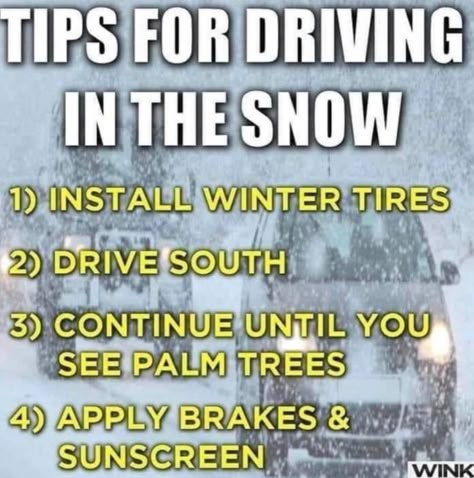 Driving In The Snow, Cold Weather Funny, Winter Humor, Snow Humor, Tips For Driving, Weather Memes, Weather Quotes, Winter Quotes, Home Mortgage