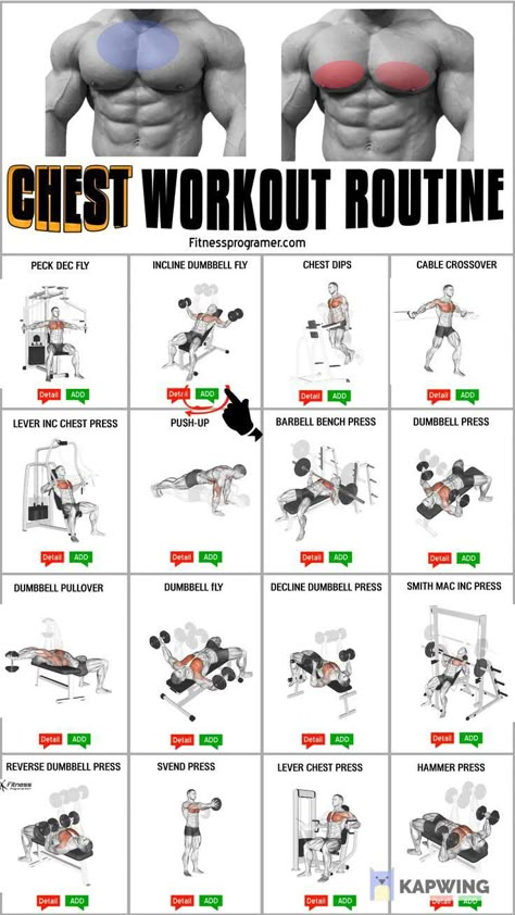 Ripped Chest Workout, All Chest Workout, Chest Workout In Gym, Best Workout For Chest, Chest Workout With Dumbbells For Men, Cheat Workout Men, Heavy Chest Workout, Dumbbell Workout For Chest, Dumbell Chest Workout For Men