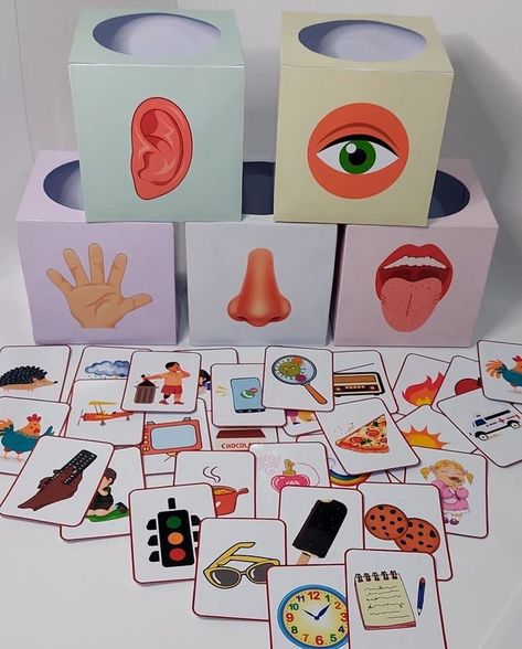 The Five Senses Kindergarten, Senses Kindergarten Activities, 5 Senses Activities For Kids, 5 Senses Kindergarten, Five Senses Activities For Preschoolers, Five Senses Preschool Activities, Five Senses Craft, Senses Activities Preschool, Emotion Activities For Preschool