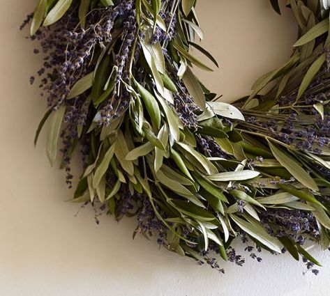 Live Turkey Pheasant Feather & Magnolia Wreath, 24" | Pottery Barn Olive Branch Wreath, Branch Leaves, Fresh Wreath, Fresh Olives, Living Wreath, Olive Wreath, Dried Wreath, Fresh Eucalyptus, Lavender Wreath