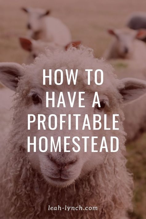 Make Money Homesteading, Farming For Profit, Homesteading For Beginners, Farming Ideas, Plan For Success, Hobby Farming, Raising Farm Animals, Farm Business, Homesteading Skills