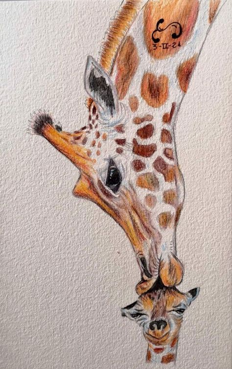 Giraffe Aesthetic Drawing, How To Paint A Giraffe, Giffafe Drawing, Girafe Drawings, Giraffe Drawing Realistic, How To Draw A Giraffe, Giraffe Painting Acrylic, Giraffe Drawings, Draw Giraffe