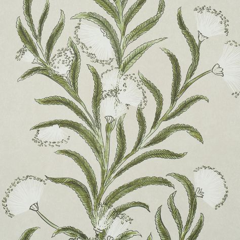 Tasmanian Mimosa - Ivory & Green Wallpapers | Schumacher Mix Modern And Antique, Wallpaper Powder Room, Botanical Interior, Block Print Wallpaper, Celerie Kemble, Fern Wallpaper, Schumacher Wallpaper, Coastal Wallpaper, Types Of Rooms