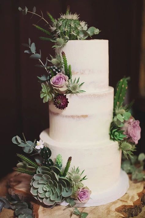 Cactus Wedding Cake, Succulent Wedding Cake, Semi Naked Wedding Cake, Succulent Wedding Cakes, Wedding Cake Simple Elegant, Mexican Cake, Bridal Shower Desserts, Green Wedding Cake, Cactus Wedding