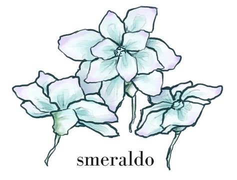 Smeraldo Flower Tattoo, Smeraldo Flower, Bts Tattoos, Small Pretty Tattoos, Dope Tattoos, Pretty Tattoos, Lotus Flower Tattoo, Flower Drawing, Flower Tattoo