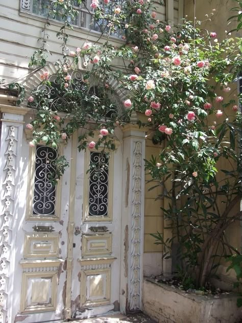 Conversion of A French Man (Fleaing France Brocante Society) Porte Cochere, Climbing Roses, Unique Doors, Beautiful Doors, Pretty Places, Cottage Garden, Deep Purple, Garden Arch, Beautiful World