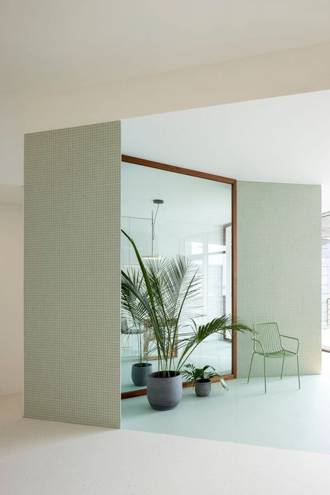 Gallery of Think Health naturopathy / BOX arquitectos - 27 Pastel Green Palette, Calm Environment, Healthcare Interior Design, Curved Desk, Health Clinic, Green Palette, Healthcare Design, Matching Furniture, White Shelves