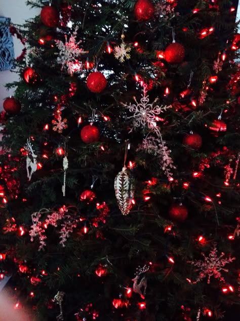 Red Christmas Lights Tree, Big Christmas Tree Lights, Black Christmas Tree Red Decorations, Red Light Christmas Tree, Red And Black Christmas Aesthetic, Black Christmas Tree Red Ornaments, Black Christmas Tree With Red Ornaments, Dark Red Christmas Aesthetic, Black Red Christmas Tree