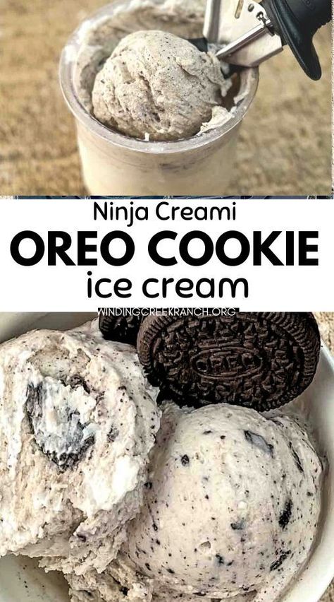 Satisfy your Oreo cravings with this delicious Ninja Creami Oreo Cookie Ice Cream! Smooth, creamy, and packed with crunchy cookie bites, this homemade recipe will be your new favorite dessert, and it’s so easy to make in the Ninja Creami! Ninja Creami Cookies And Cream Ice Cream, Cookies And Cream Ninja Creami Recipe, Ninja Creami Oreo Recipe, Cookies And Cream Creami Recipe, Ninja Creami Ice Cream Recipes Cookies And Cream, Cosmic Brownie Ninja Creami, Oreo Ninja Creami Recipe, Nina Creamy Recipes, Oreo Ninja Creami