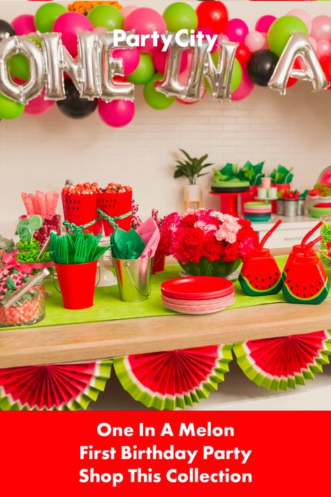 One In A Melon Party Decorations, One In A Melon First Birthday Decorations, Watermelon Party Ideas Decoration, One In A Melon First Birthday, Watermelon Party Ideas, Melon Birthday, One In A Melon Birthday, Watermelon Birthday Parties, Watermelon Party